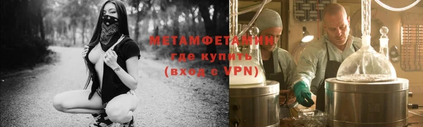 индика Гусев