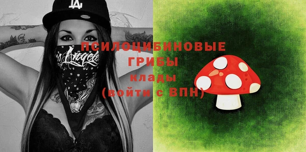 соль ск Горняк