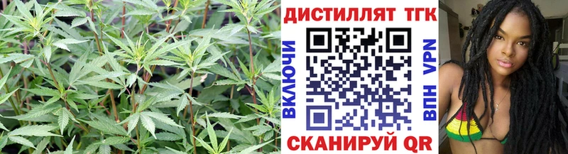 наркошоп  Дубовка  Дистиллят ТГК гашишное масло 